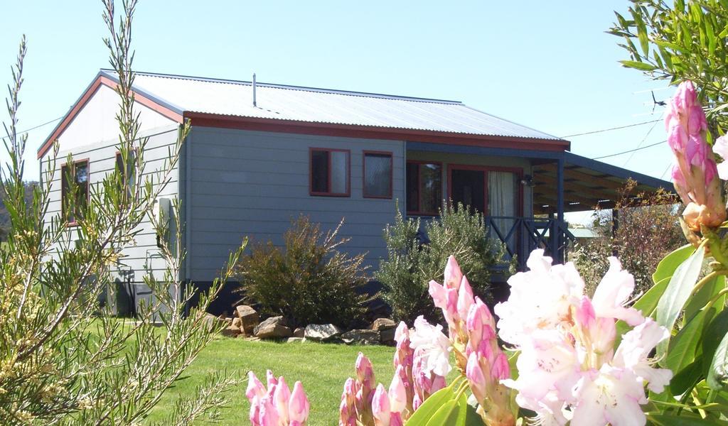 Highland Cabins And Cottages At Bronte Park Quarto foto